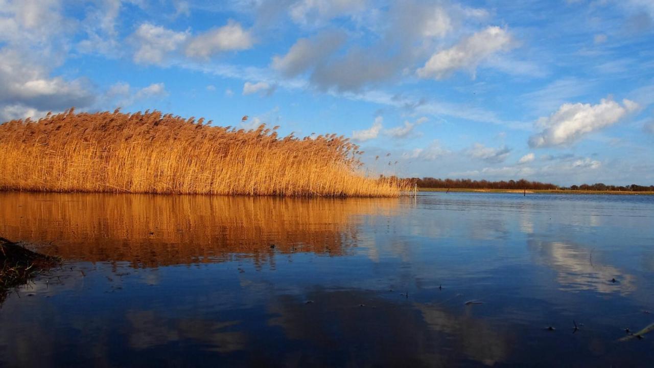 Emilias Hues, Reethaus In Der Bucht Von Wismar Zierow Ngoại thất bức ảnh