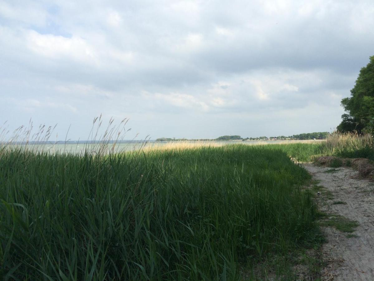 Emilias Hues, Reethaus In Der Bucht Von Wismar Zierow Ngoại thất bức ảnh